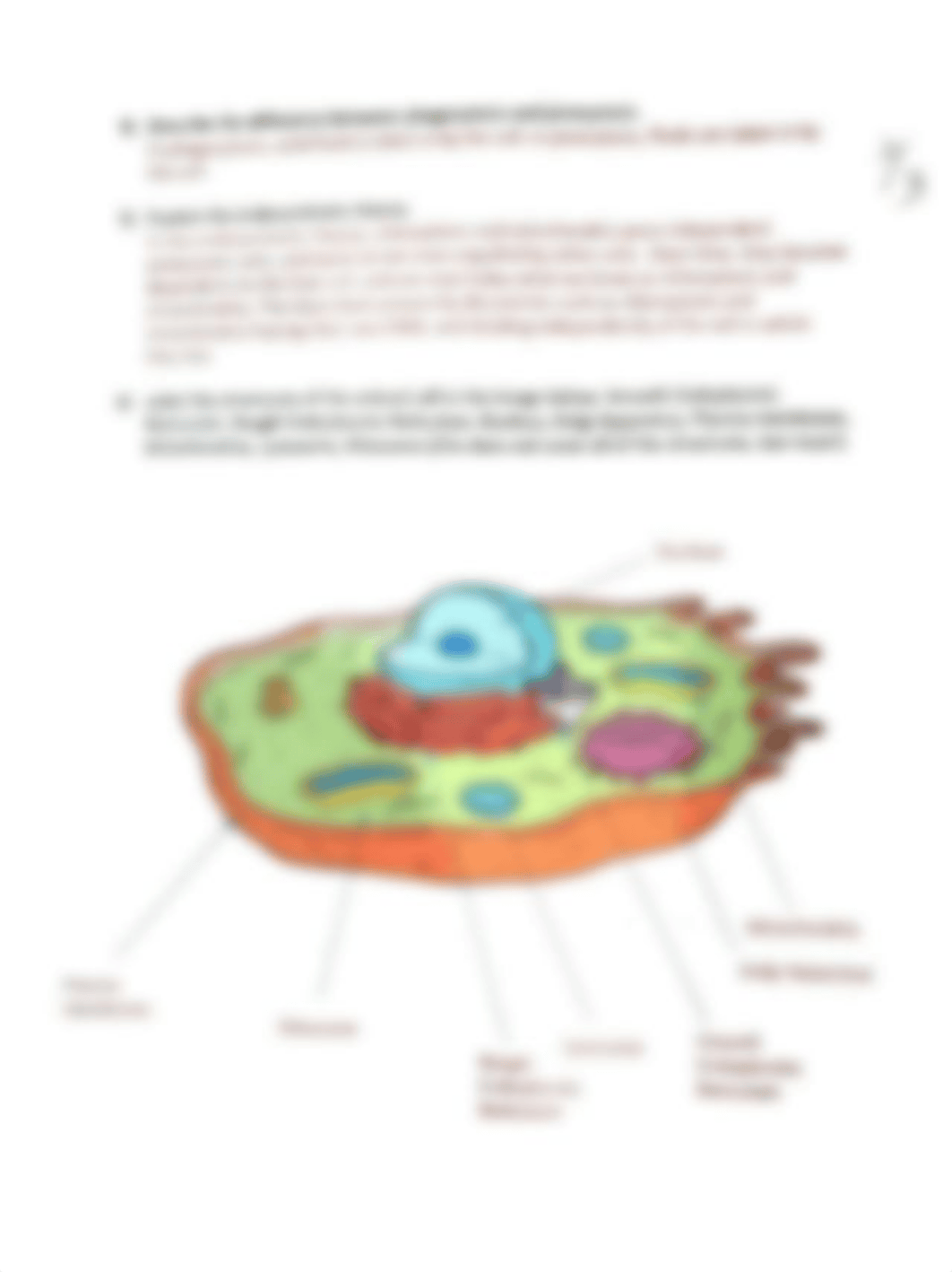 Review question module 13 Eukaryotic cell  BIOL 107  page 2.pdf_dgavhofk8rw_page1