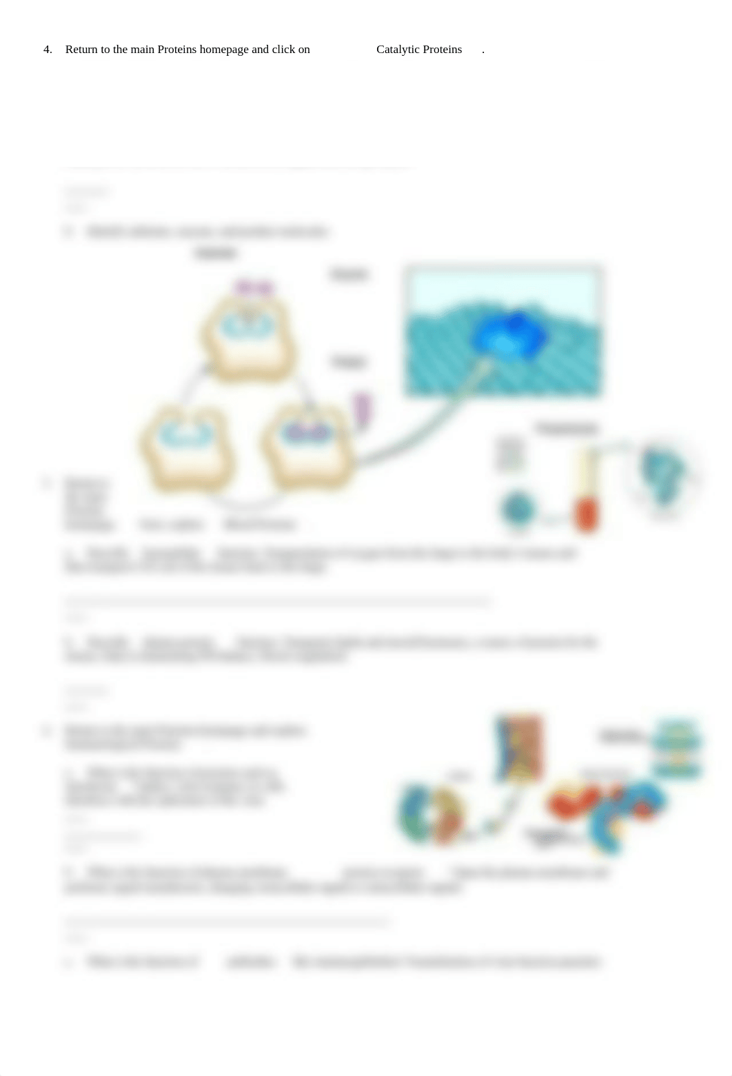 chem_bio2_dgay968jrq9_page2