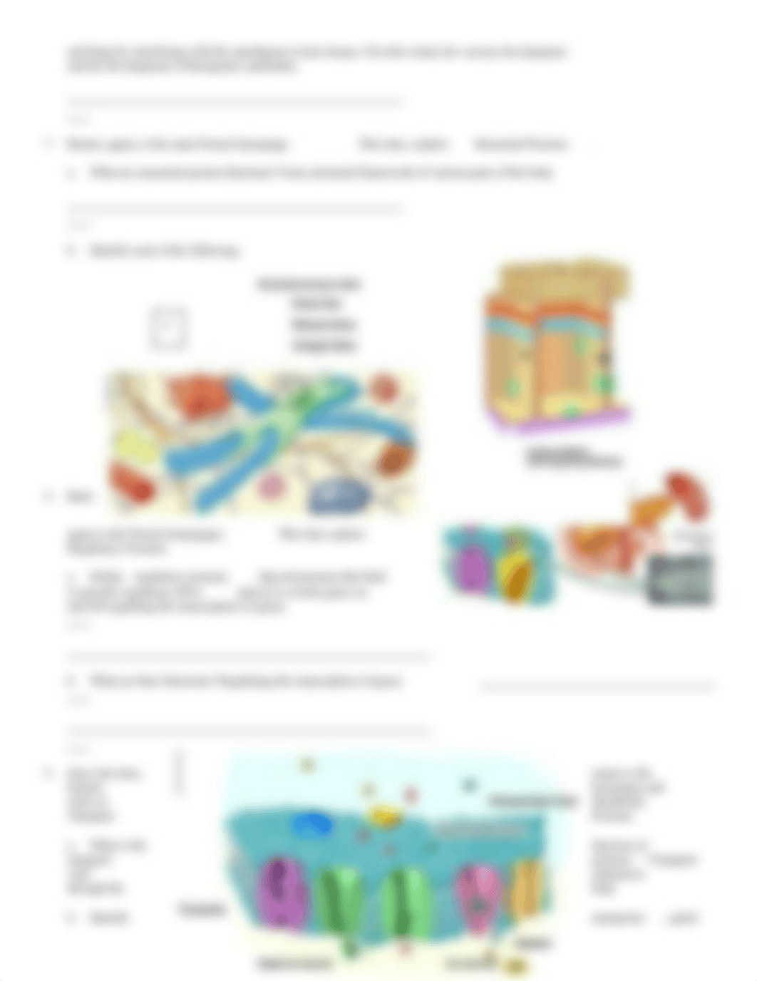 chem_bio2_dgay968jrq9_page3