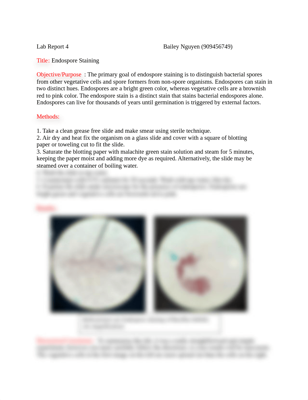 Endospore Staining-Lab Report 4.docx_dgb1txealyr_page1