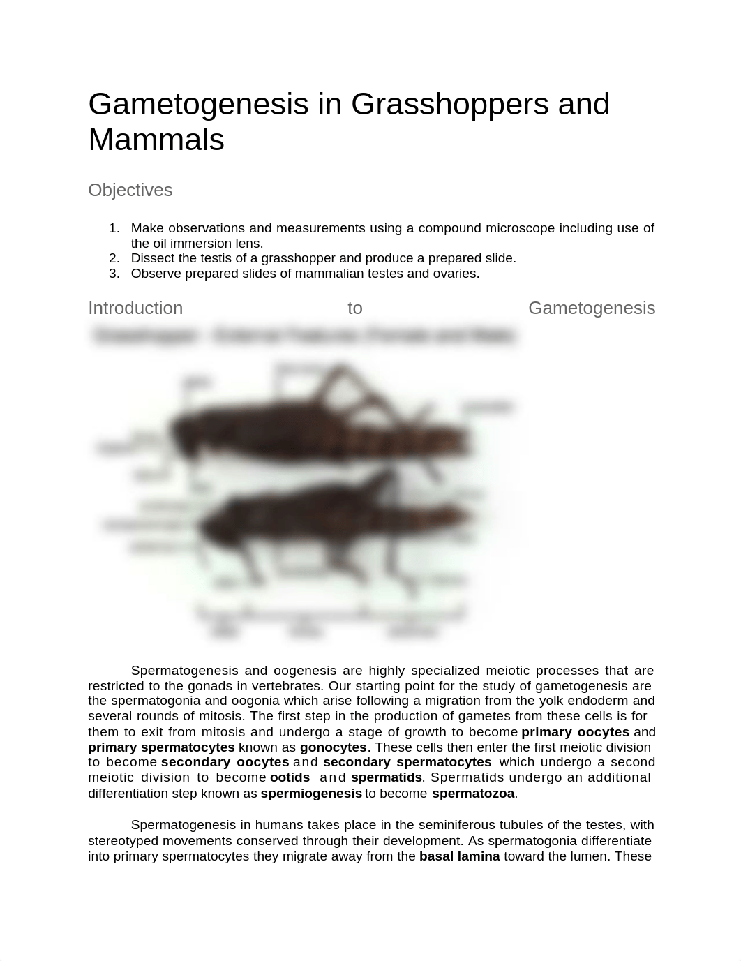 Gametogenesis in Grasshoppers and Mammals.docx_dgb513qh1ys_page1