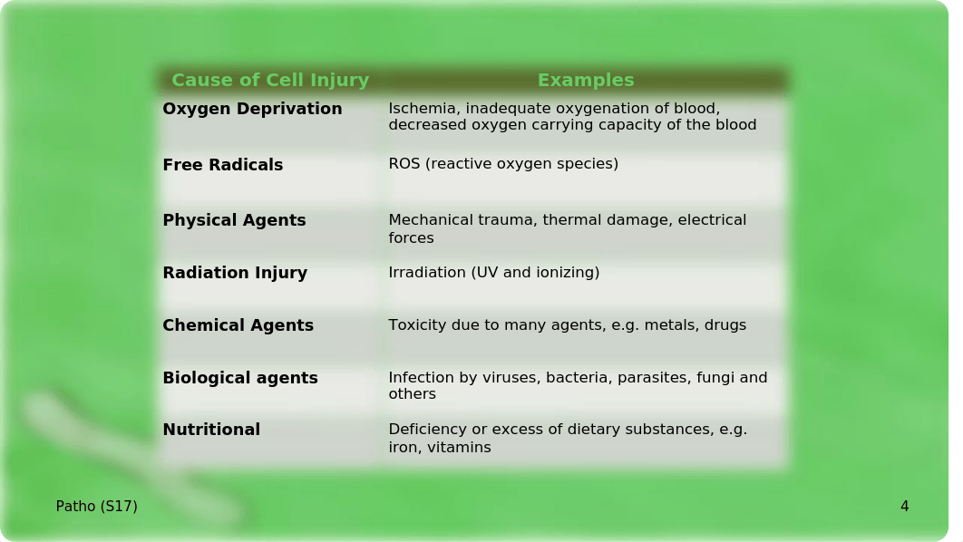 cell+injurycausesS17.pptx_dgb8yjbh4c5_page4