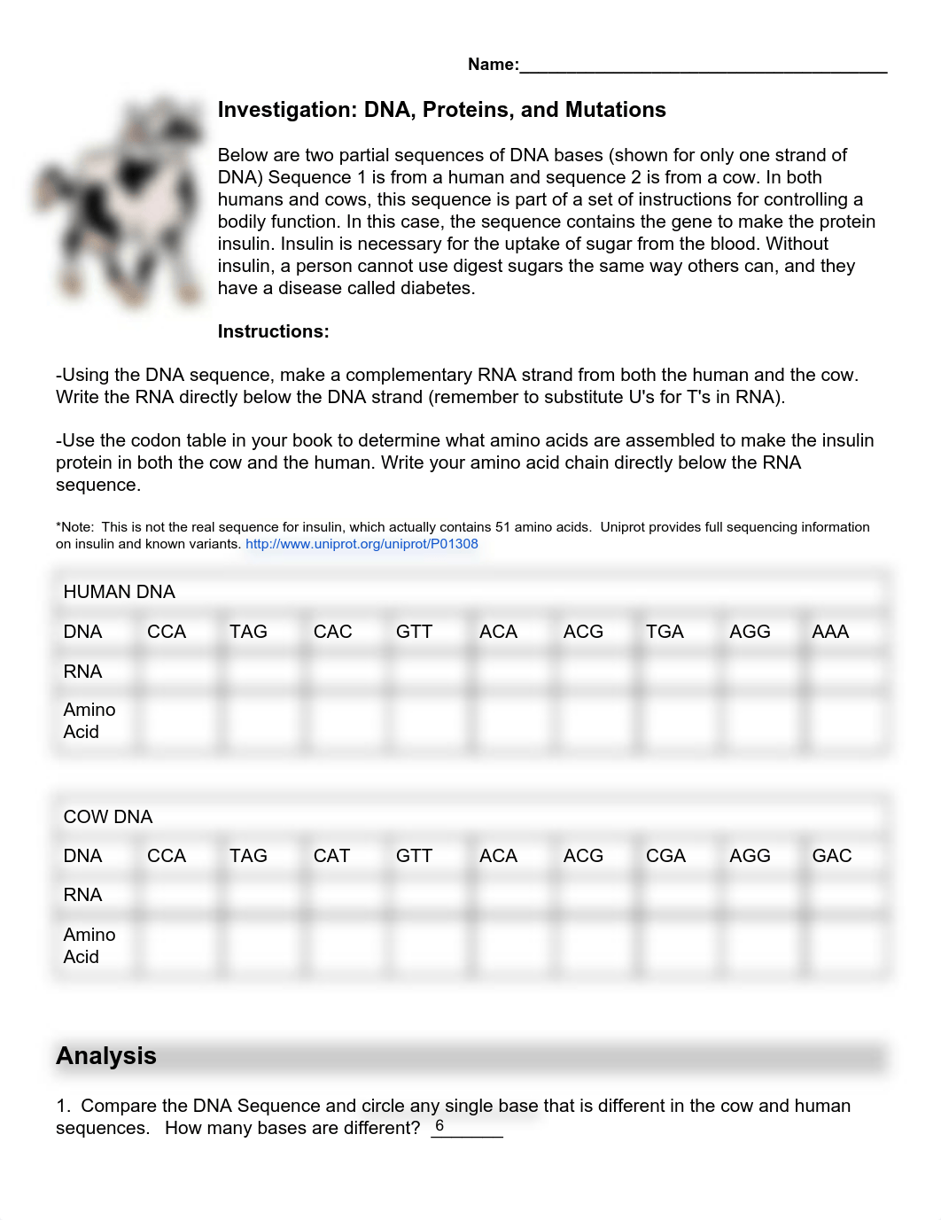 Investigation_ DNA, Proteins, and Mutations (2) kam.pdf_dgbh5t04r2n_page1