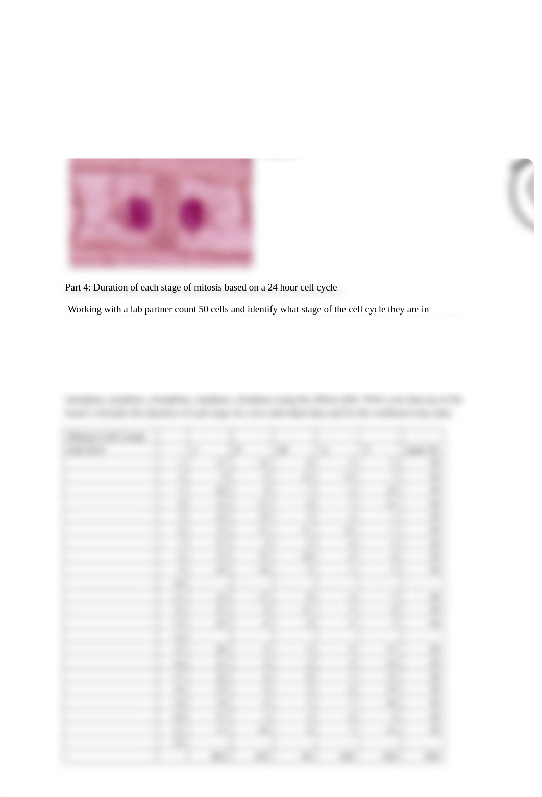 mitosis lab report.docx_dgbkgs6yazu_page3