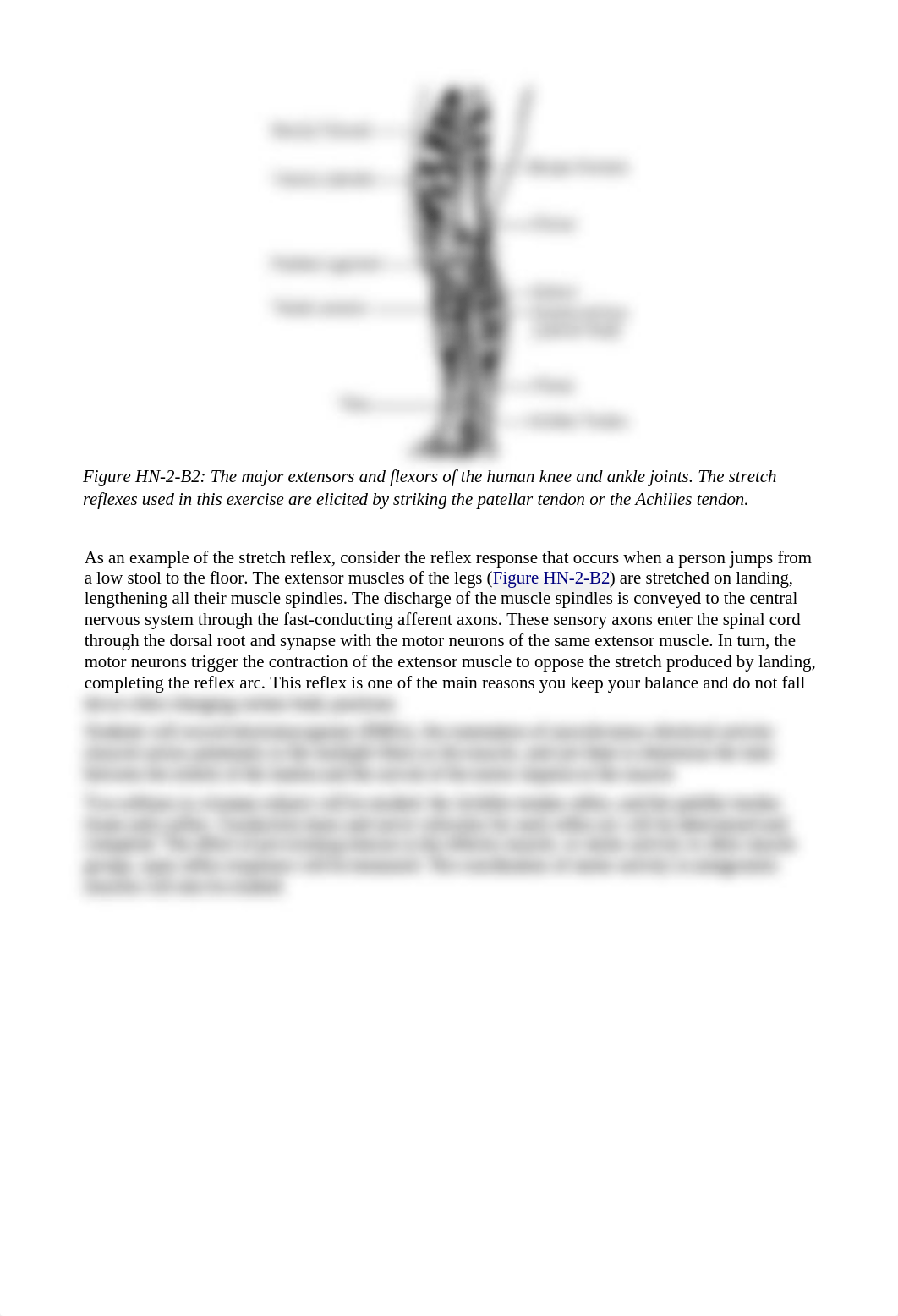 (4) Patellar Stretch.docx_dgbkxp5p879_page2