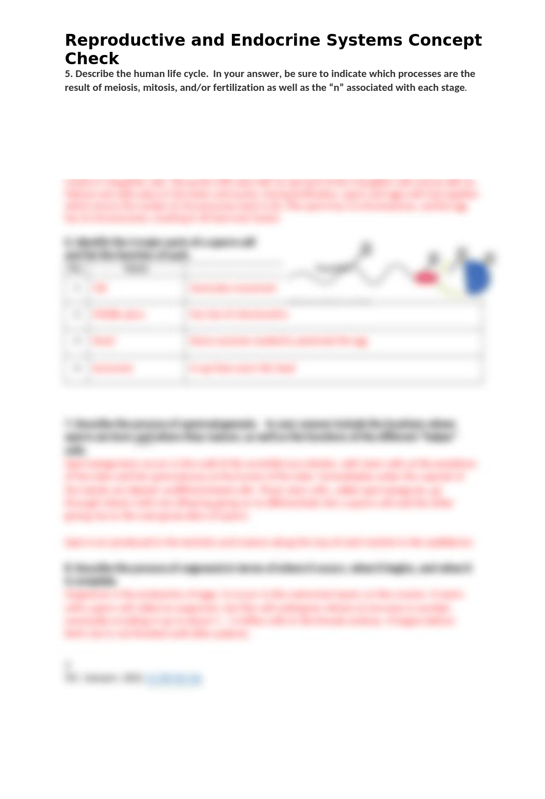 Week 13 Concept Check - Reproduction and Endocrine Systrems.docx_dgbl7r6lvee_page2