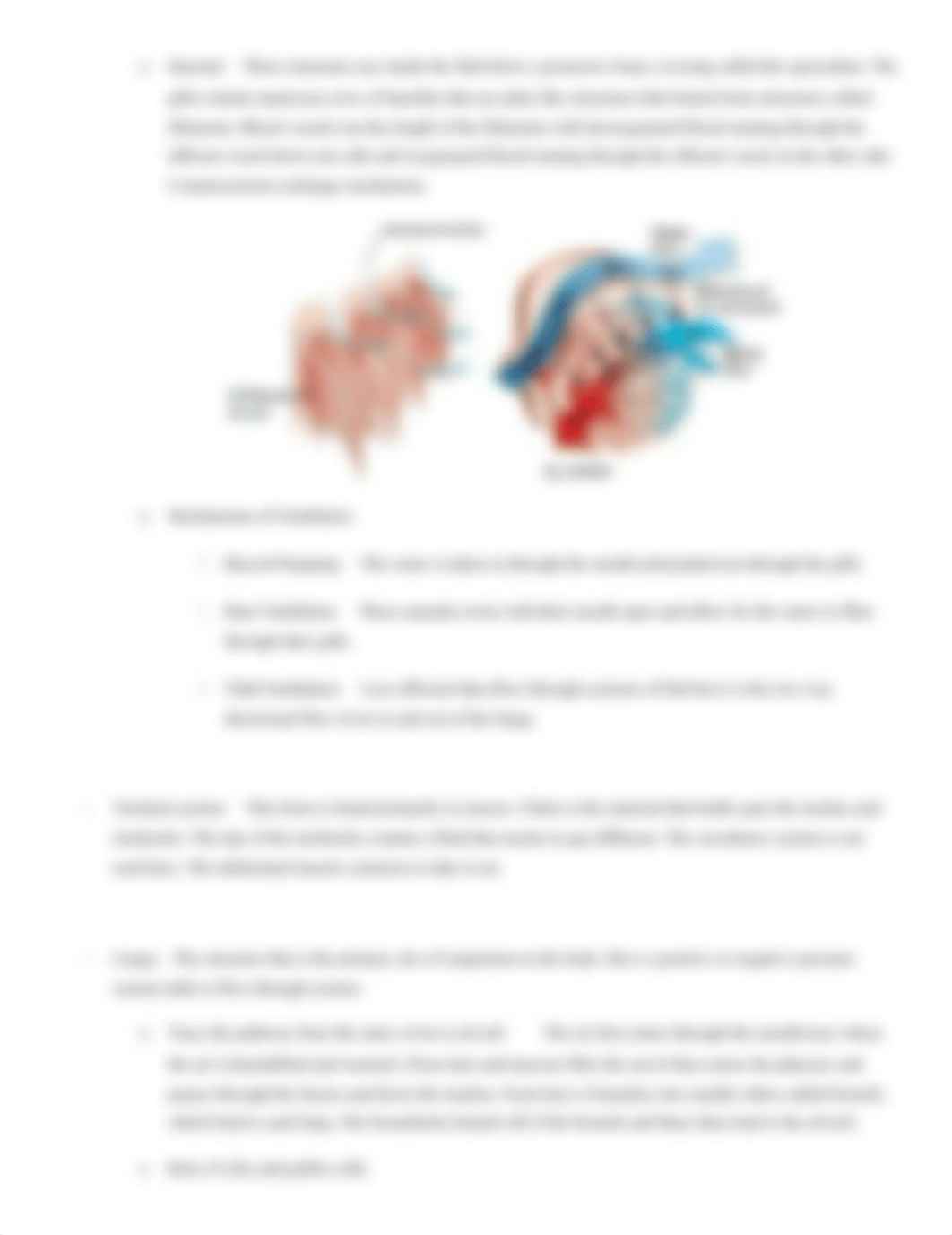 Chapter 48 Outline Respiratory system_dgblihb662z_page2