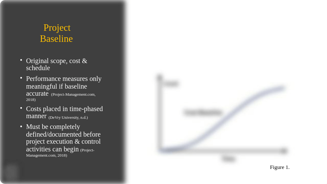 MGMT404_Week 7_Discussion_Project Baseline_SStella.pptx_dgbtfrzjoyv_page2