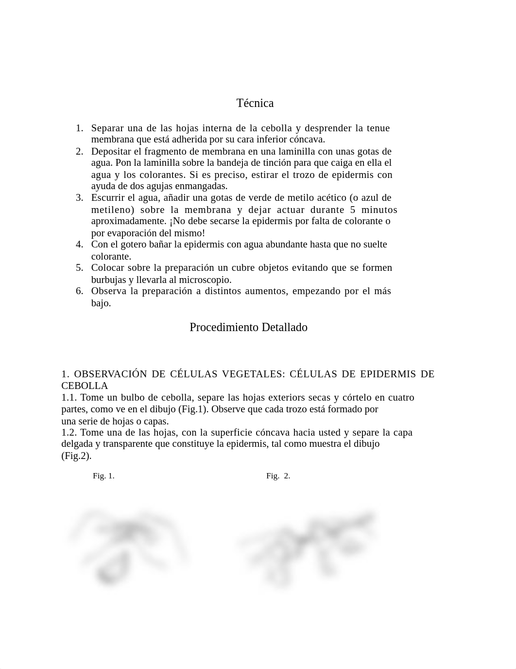 Microscopio (Segunda Parte) (1).docx_dgby3no6d4j_page2