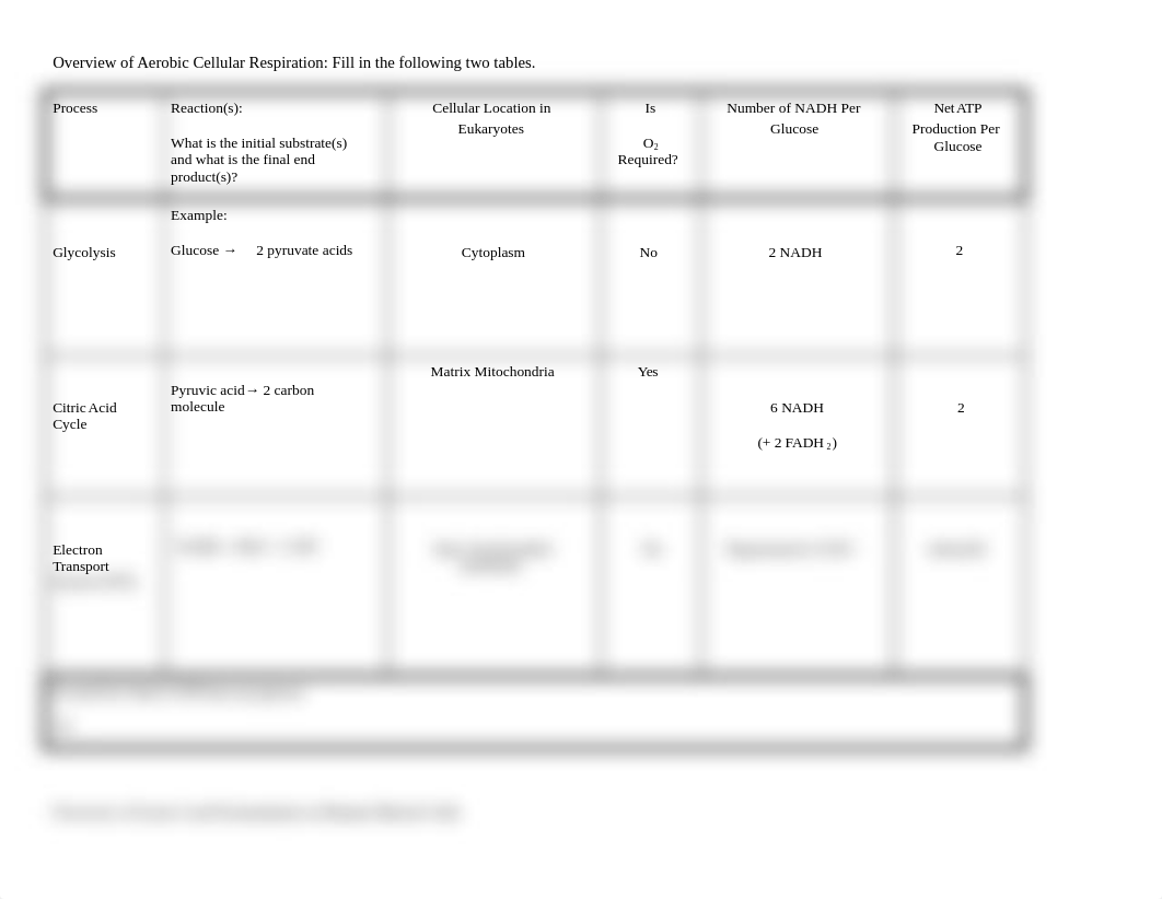 Copy of Aerobic Cellular Respiration Summary.docx_dgc1rdbf7jv_page1