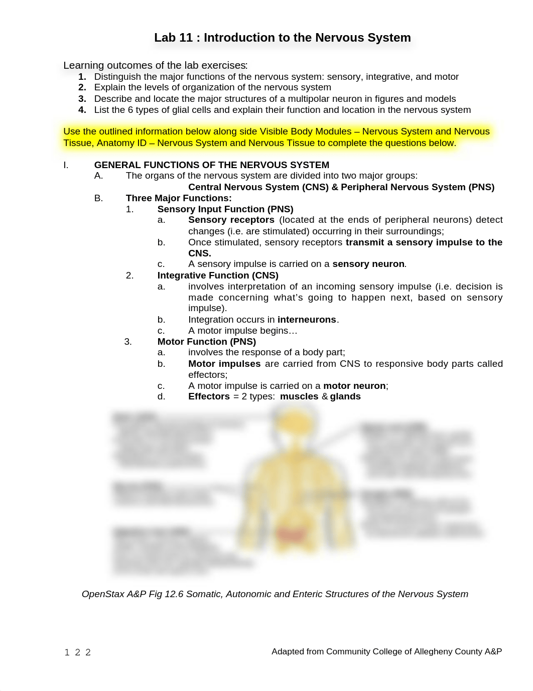 Lab 11 Intro to nervous system.docx_dgc4zrd1roc_page1