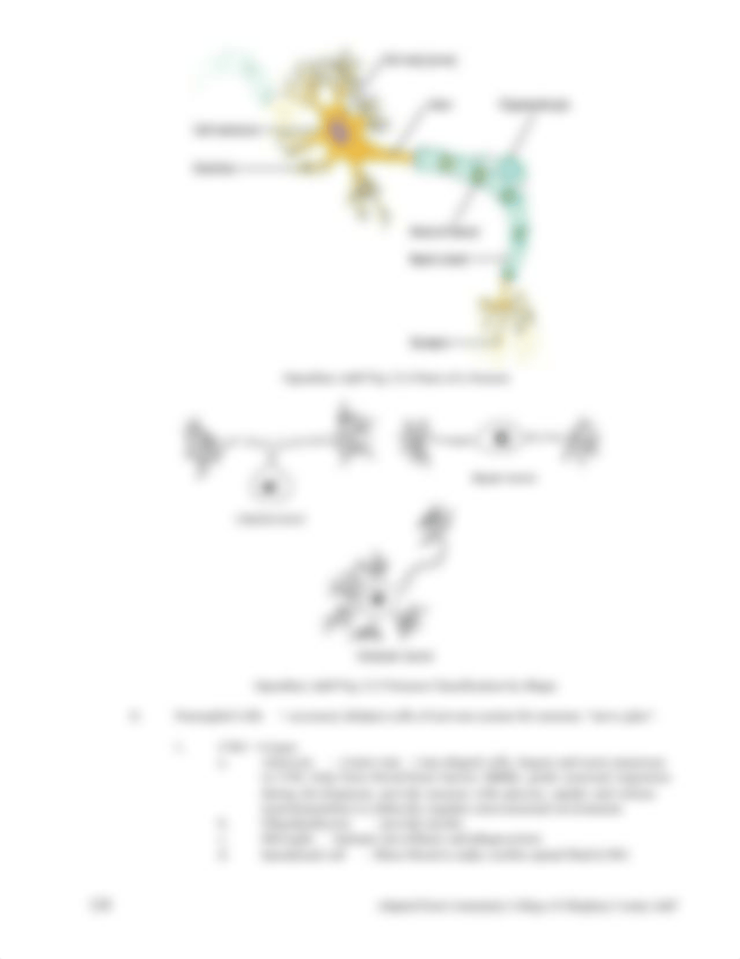 Lab 11 Intro to nervous system.docx_dgc4zrd1roc_page3