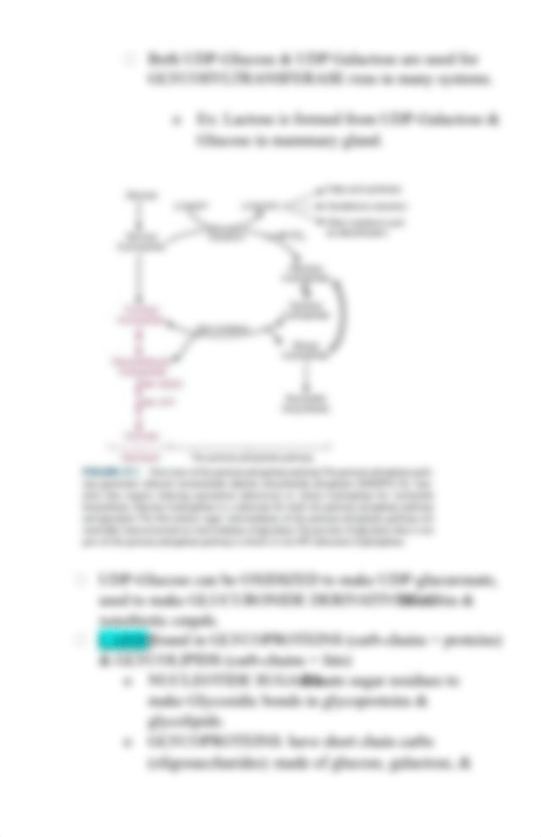 Chapter 27 Biochem. .docx_dgc5gecyl8z_page2