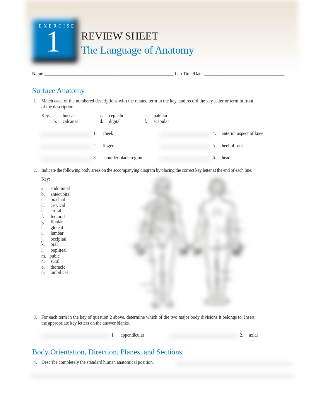 Human Anatomy Laboratory Manual week 1.pdf_dgcpls6vael_page1