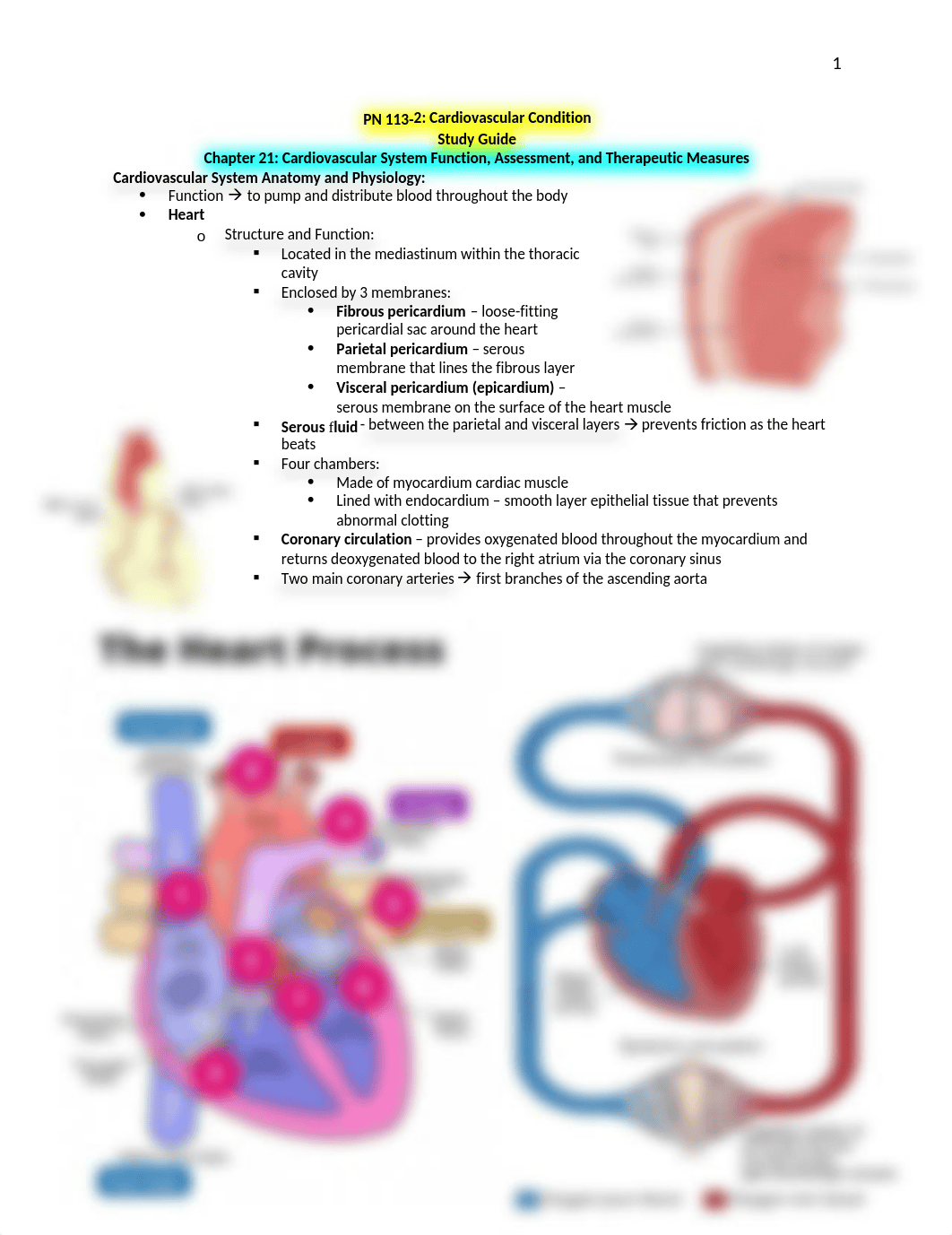 113-2 Cardiac SG (AJ).docx_dgd1u619qbx_page1