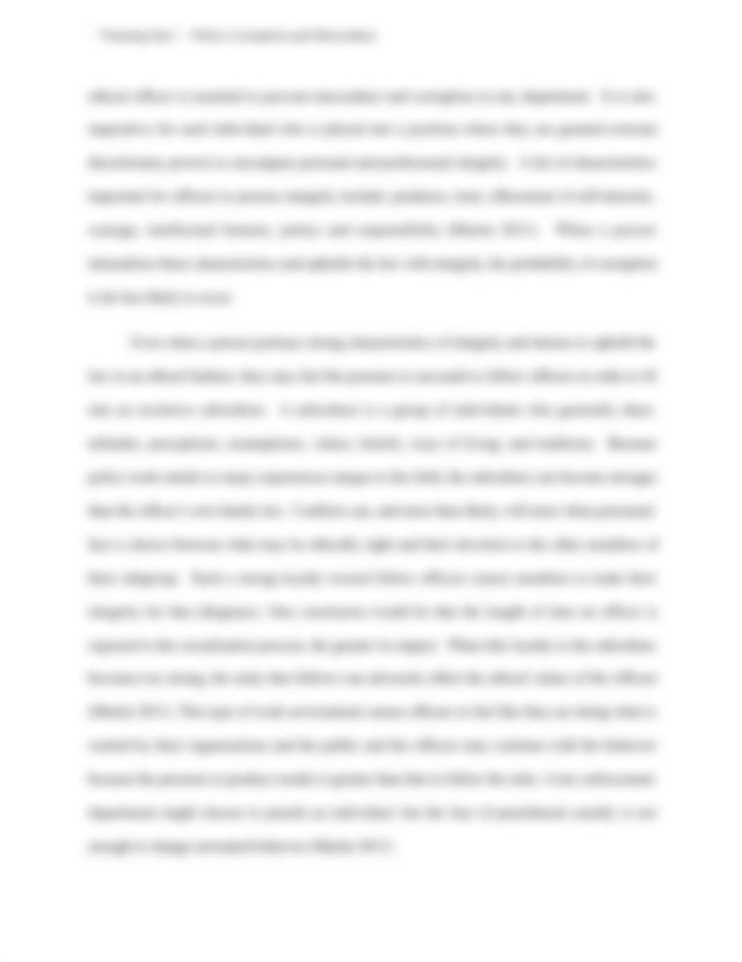 Training Day Essay_dgd3hamtpgv_page3