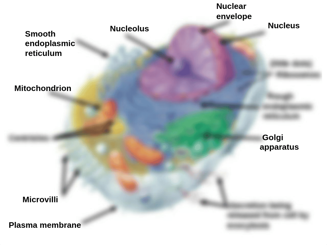 Cells_dgd9q99hiad_page3