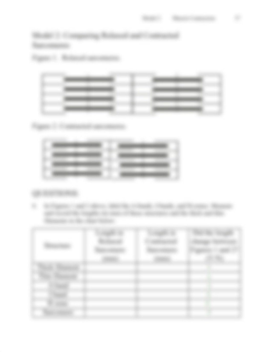 Kami Export - Muscle Contraction POGIL.pdf_dgd9zz15hmy_page3