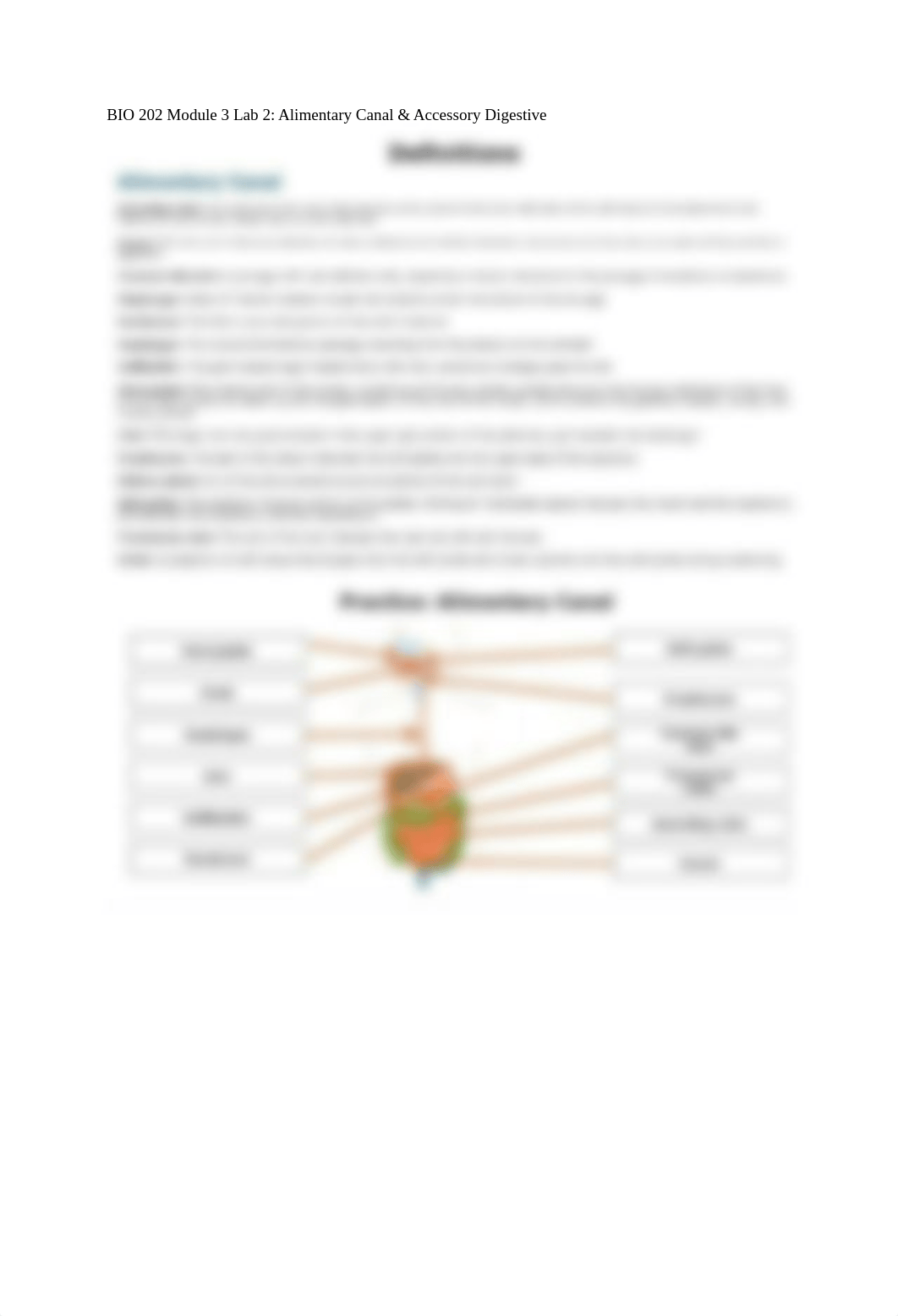 Module 3 Interactive  Lab 2.doc_dgdb9xnwrys_page1