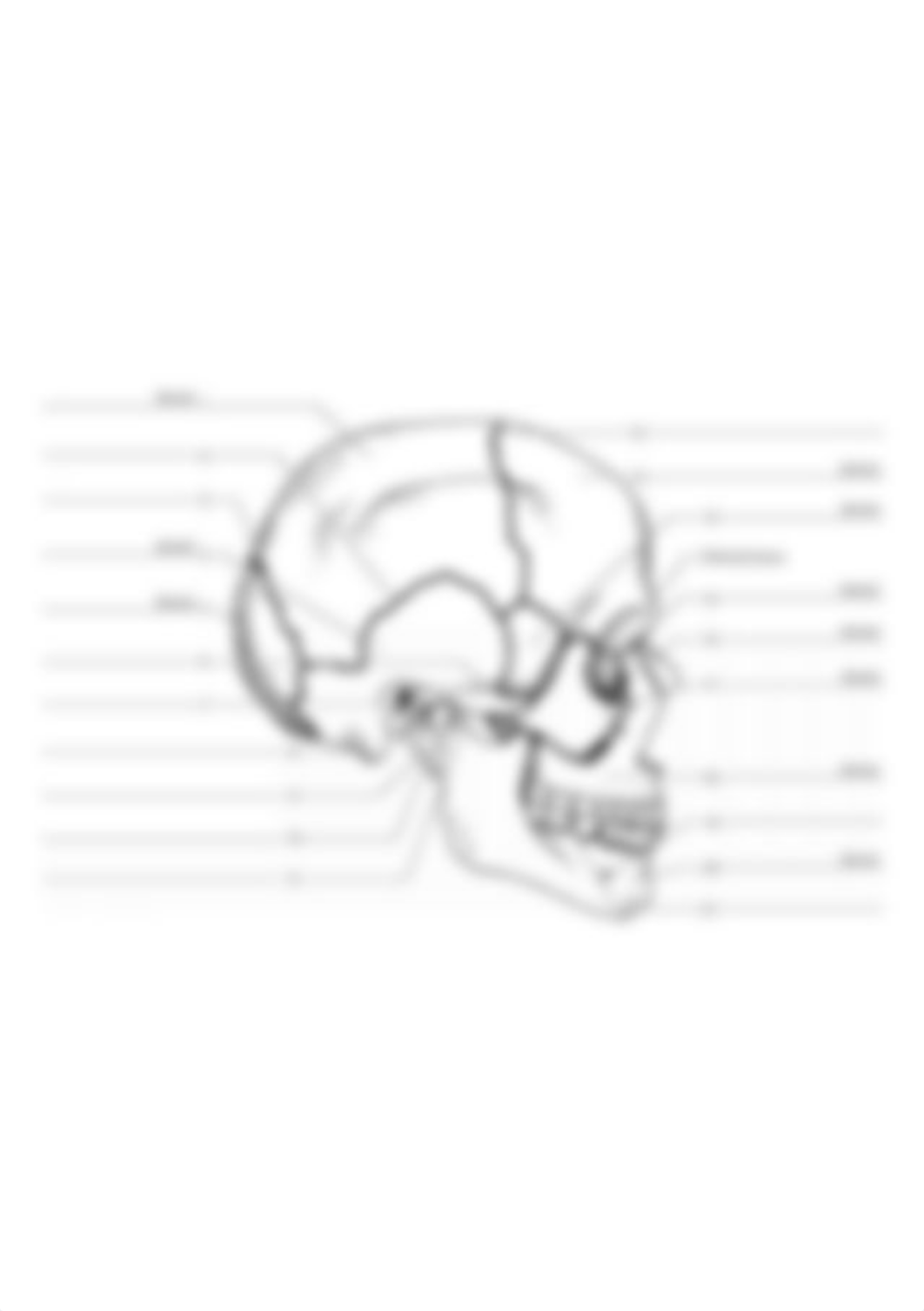 gunwsmedical.info4535_82_90-label-the-lateral-features-the-skull.jpg_dgdciwruq29_page1