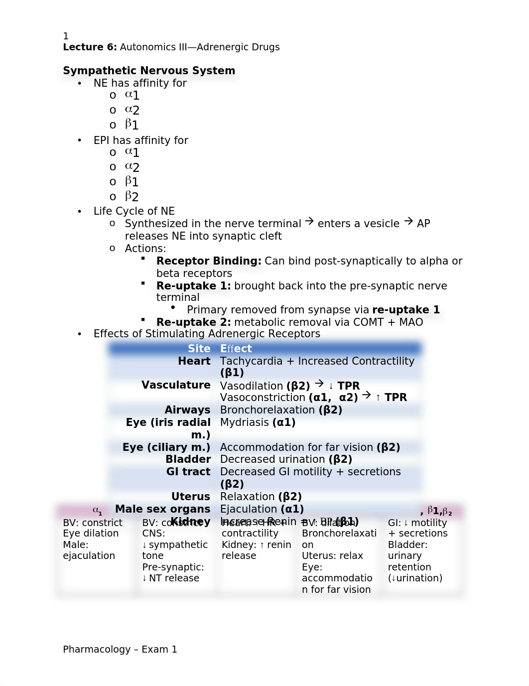 L6_Adrenergic Drugs.docx_dgdhuhah4yr_page1