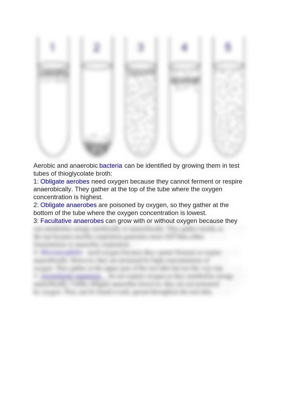 Lab 4 Procedure_dgdpmuzru8m_page1