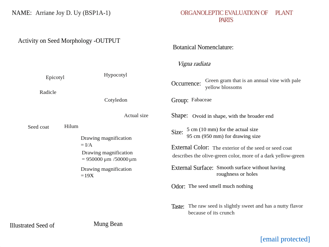 Uy, Arriane_BSP1A-1_ACTIVITY OUTPUT on SEED MORPHOLOGY.pdf_dgdzejs1nkr_page1