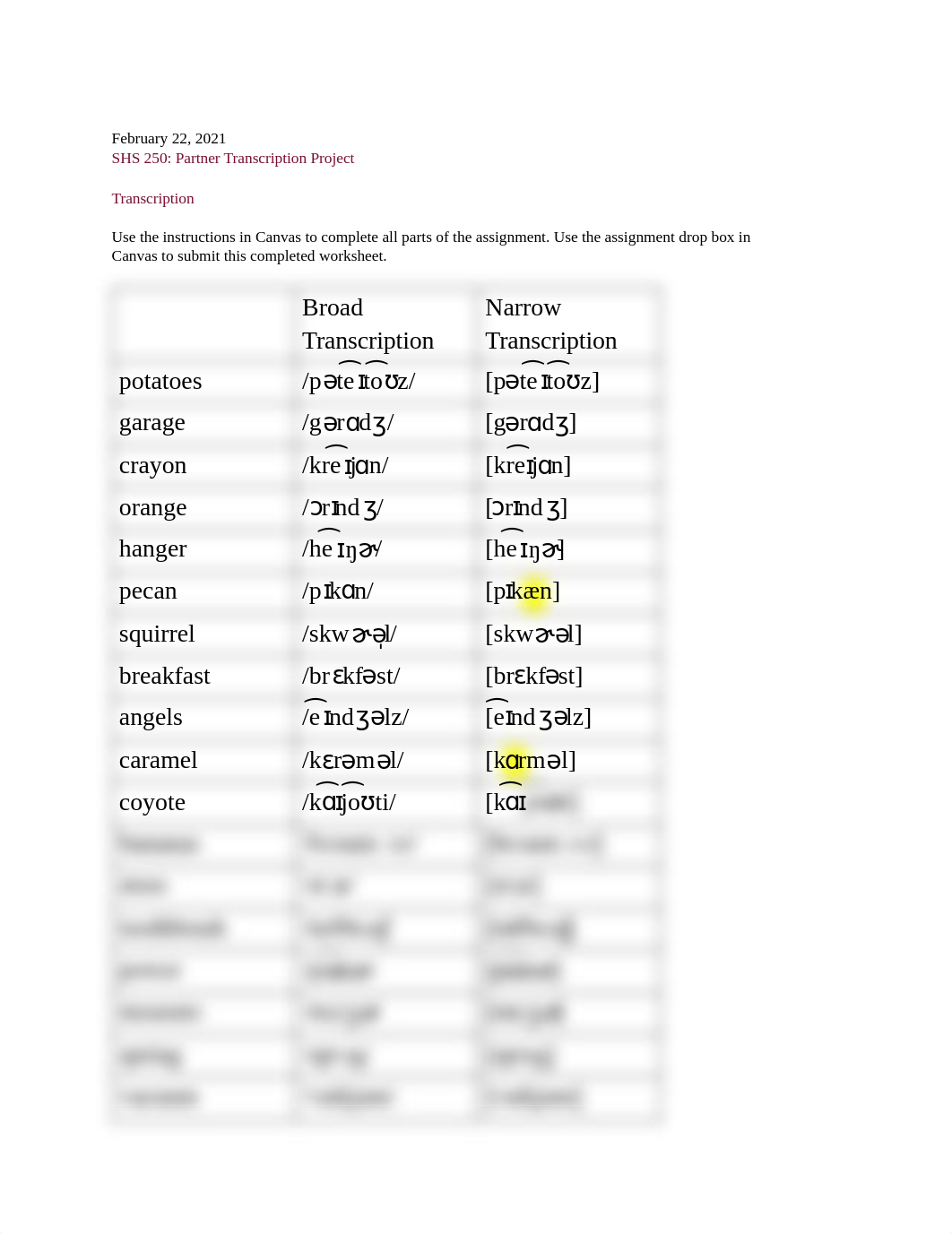 Partner Transcription Project 2.pdf_dge56vkkylr_page1