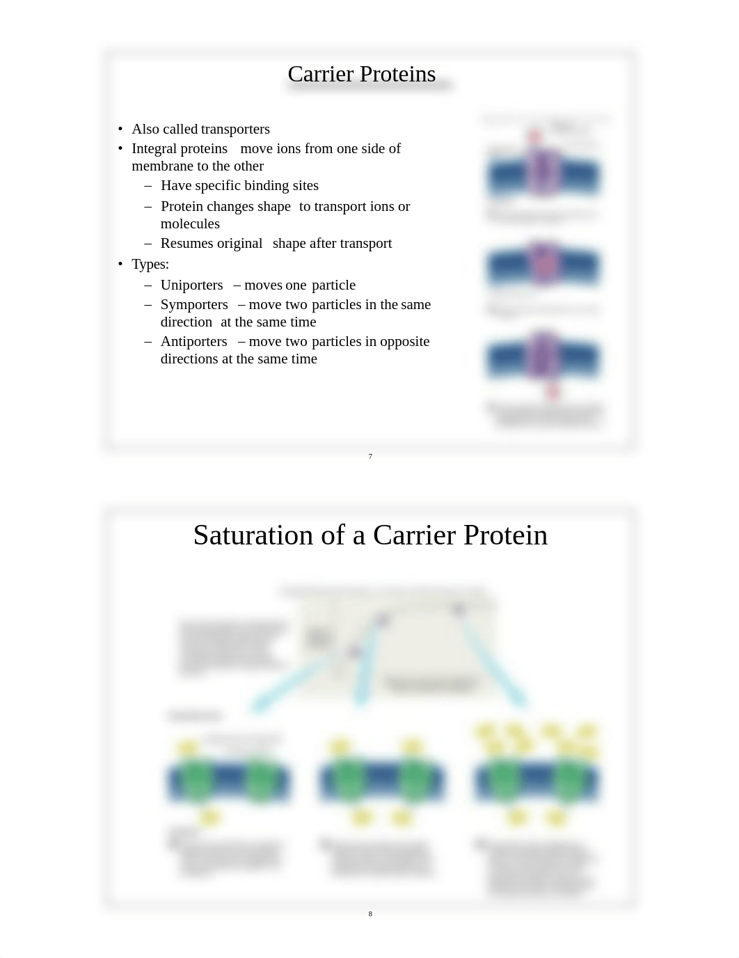 150-03 Cell Biology_dge8upi7yoq_page4