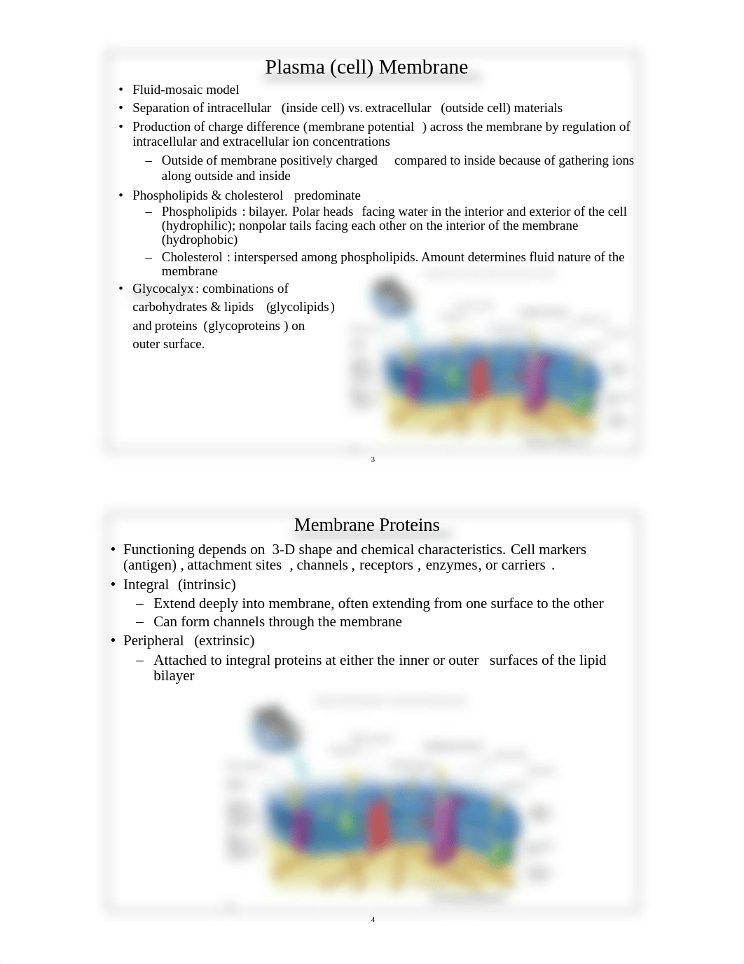 150-03 Cell Biology_dge8upi7yoq_page2