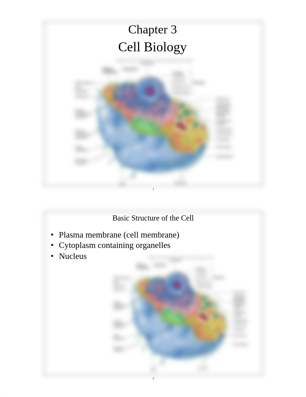 150-03 Cell Biology_dge8upi7yoq_page1