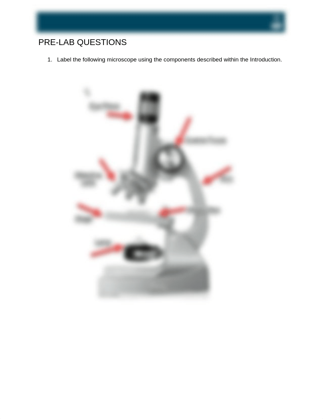 IntroMicroscope.docx_dgea0z8vbc7_page1