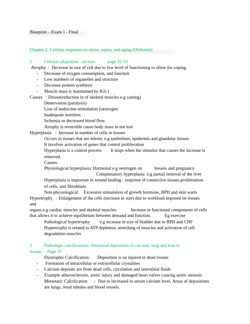 _EXAM 1 Blue Print - N6151 - Section 200-1.docx_dgekbgv8bmw_page1