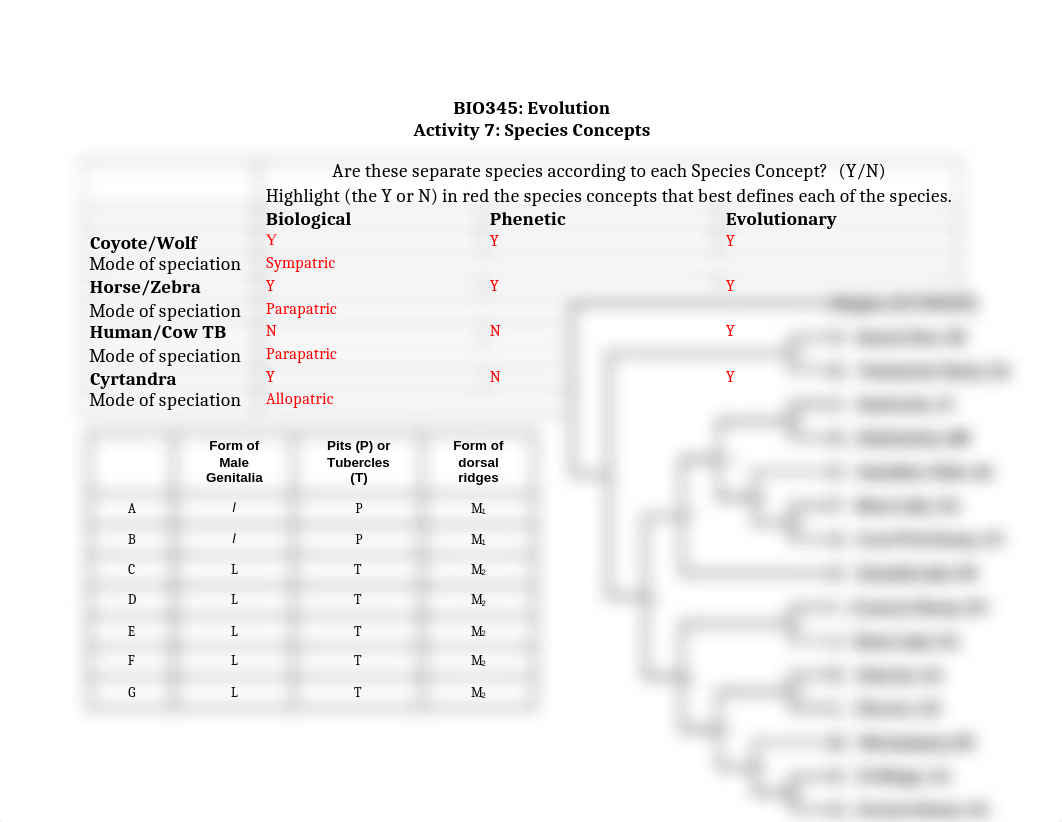 BIO 345 Activity 7 Species_Worksheet.docx_dgeoeqk4asg_page1