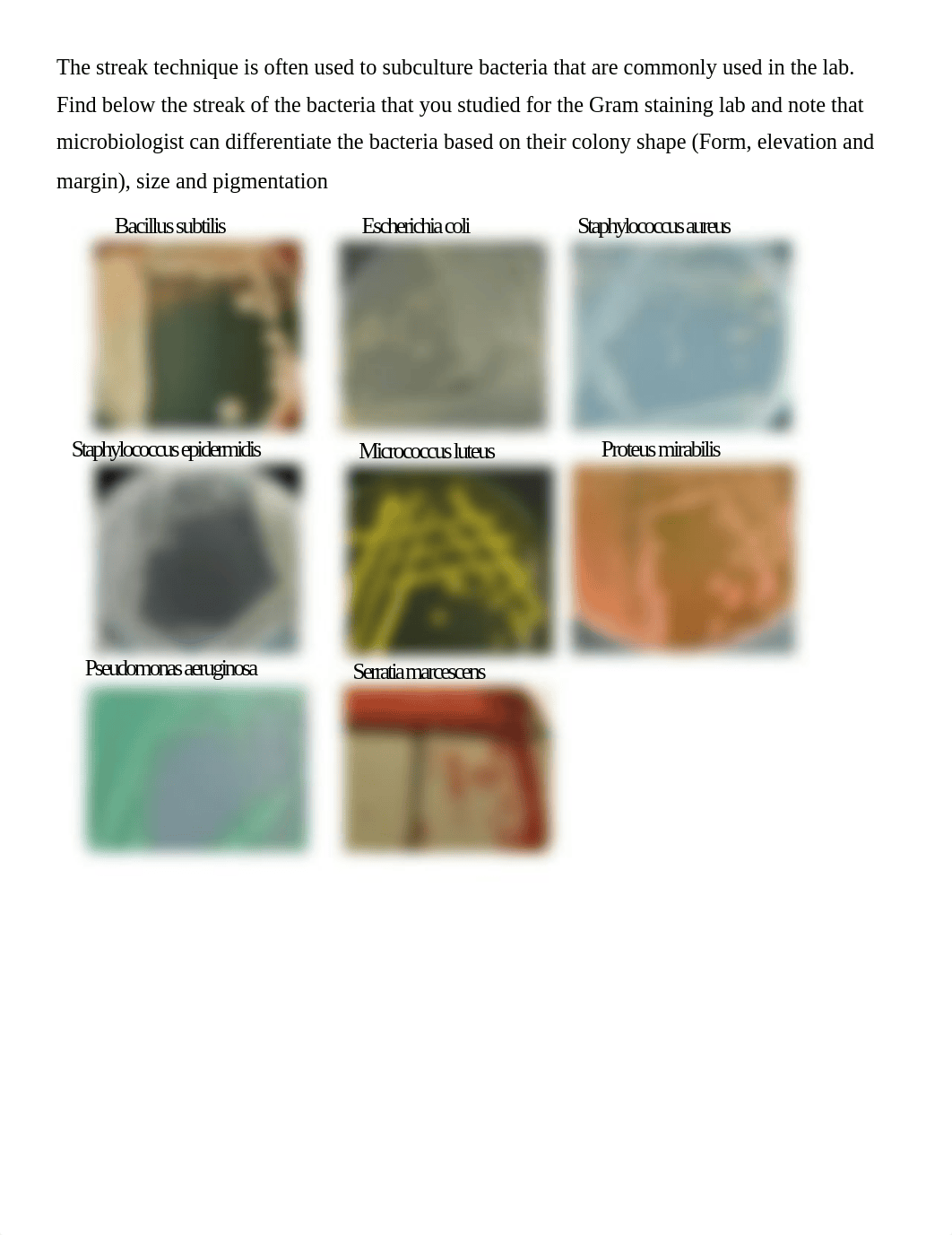 Lab 5 streak technique analysis1.docx_dgep8ftusdb_page1