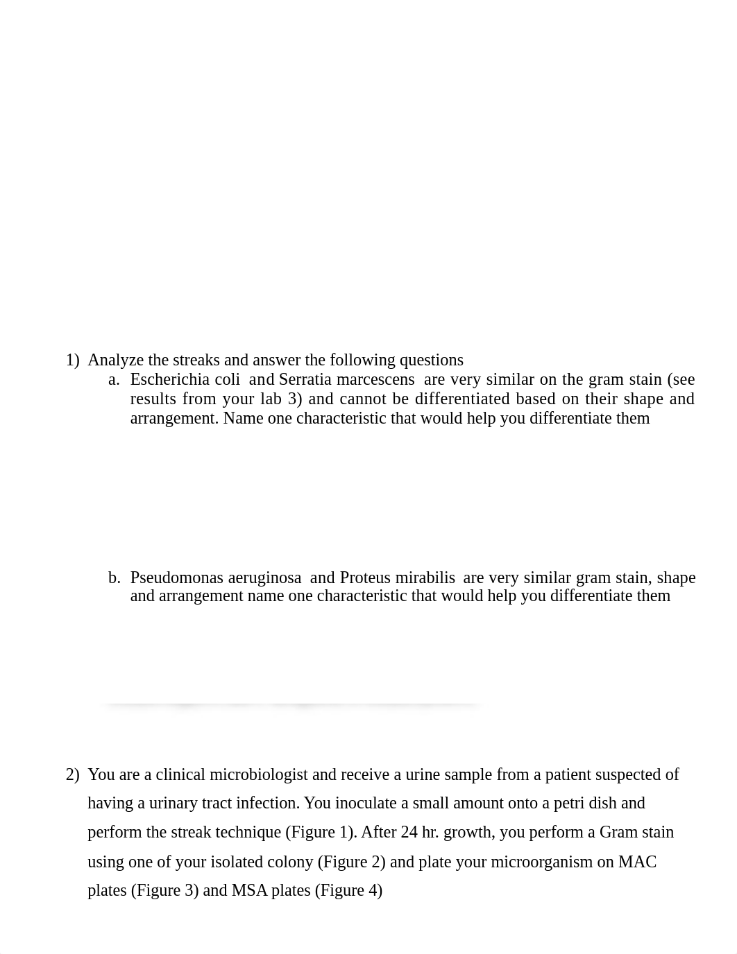 Lab 5 streak technique analysis1.docx_dgep8ftusdb_page2