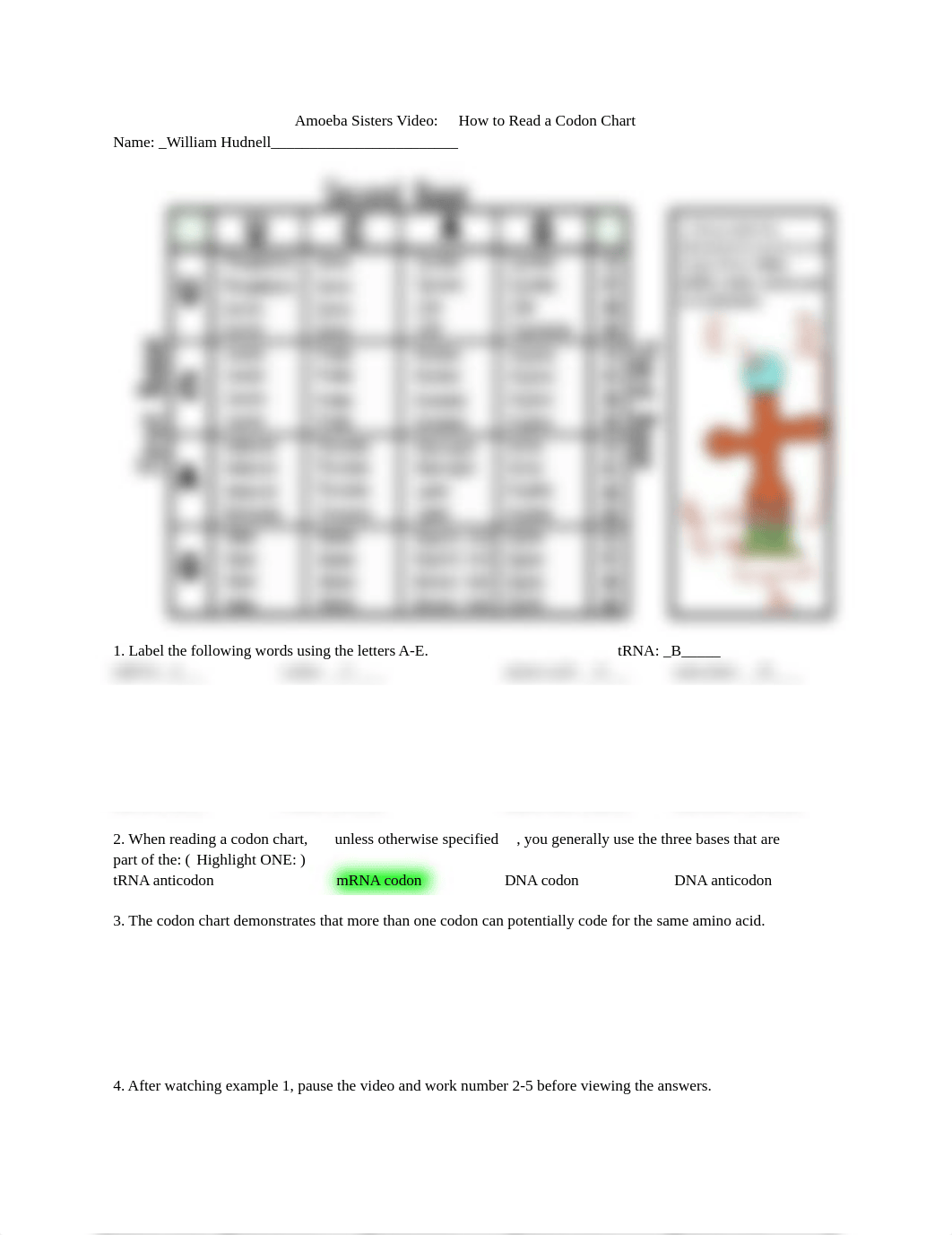 Codon Chart for Amoeba Sisters Video.docx_dgeua06mm26_page1