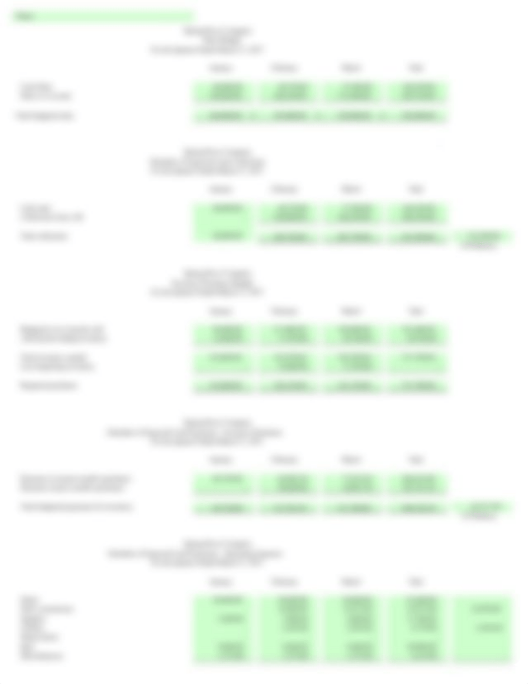 ACC154001 Master Budget Project S17 student (1) (1).xls_dgex2grjb20_page2