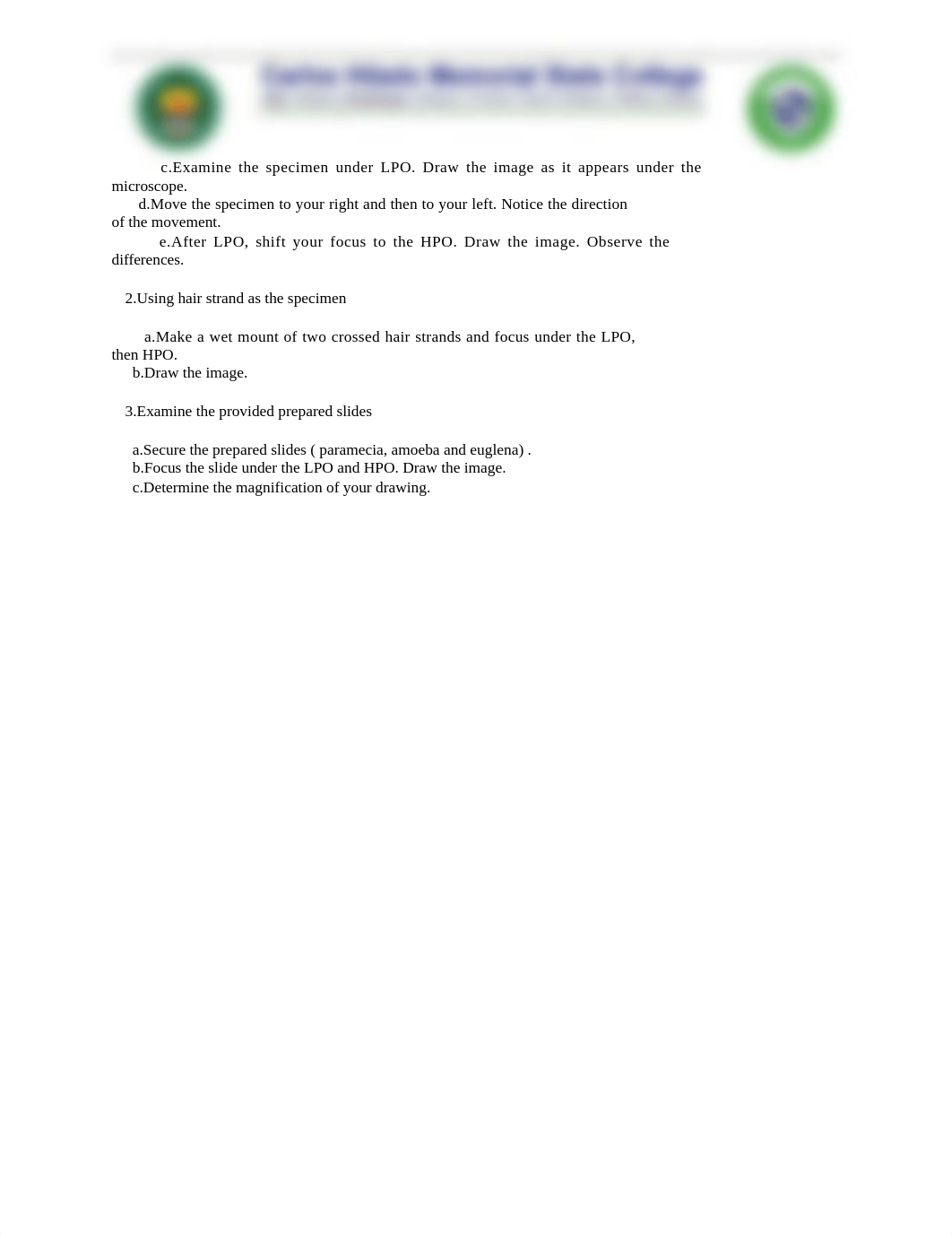 LAB-ACTIVITY-1.docx_dgeyauwayc9_page2