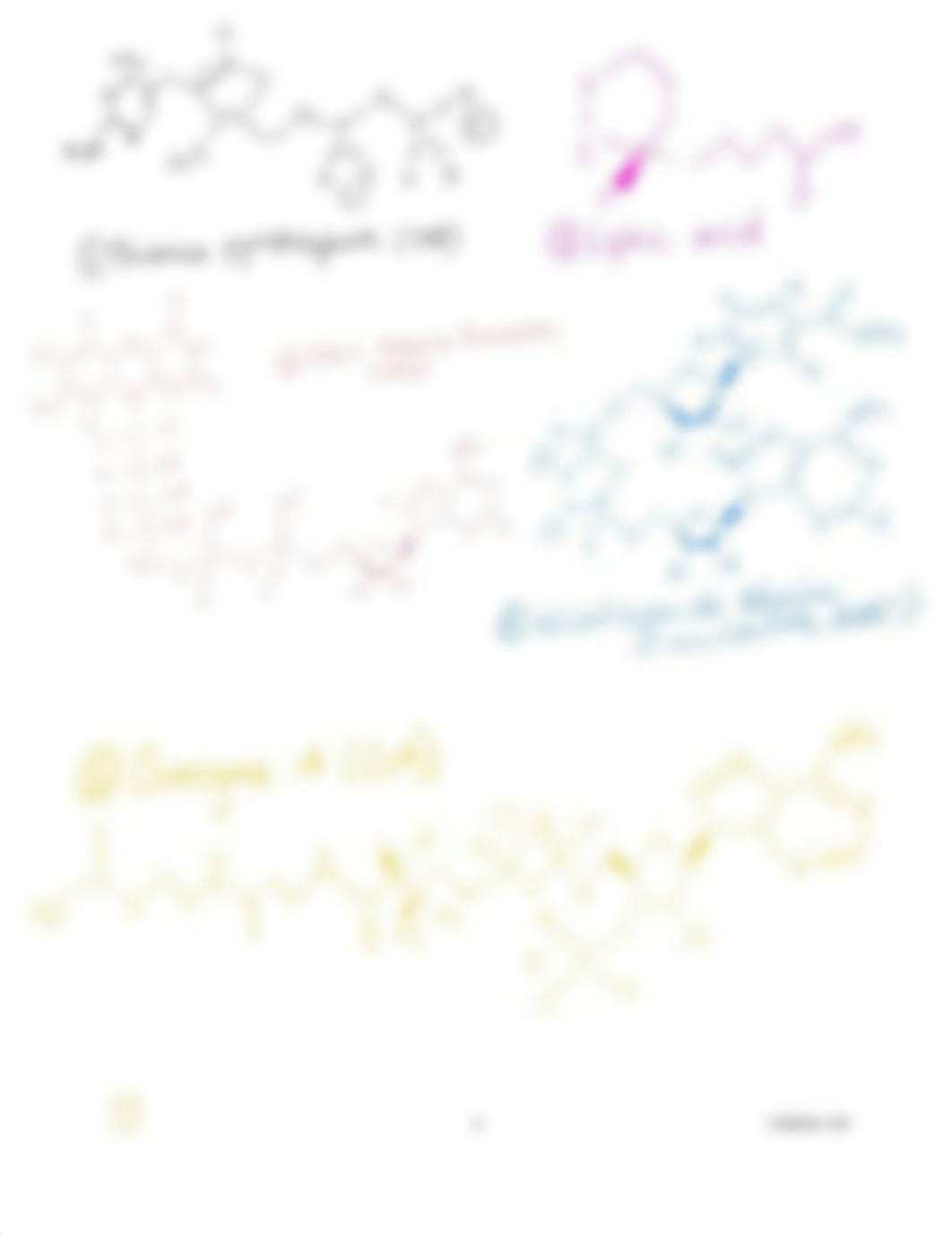 Lab5.pdf_dgf3zdywzbo_page4