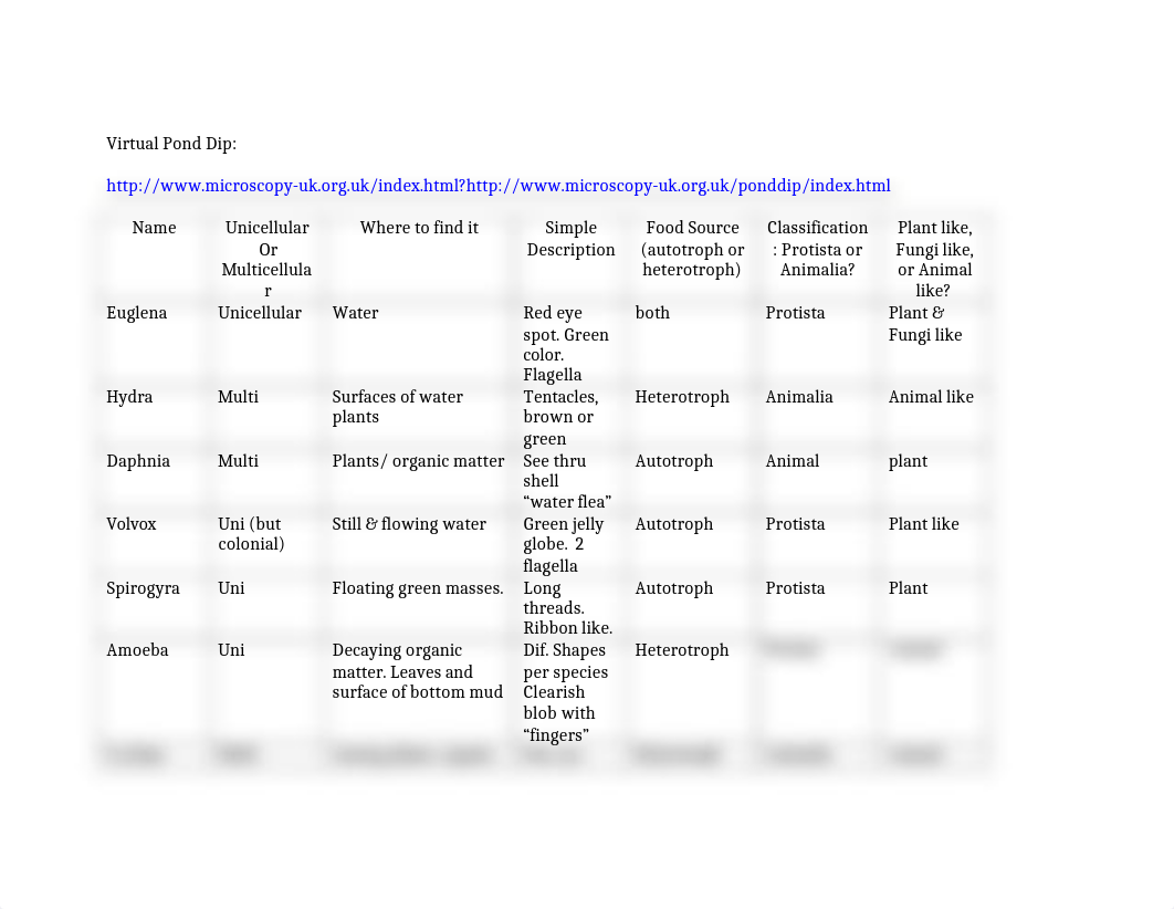 Virtual-Pond-Dip-2.docx_dgf6zifffs9_page1