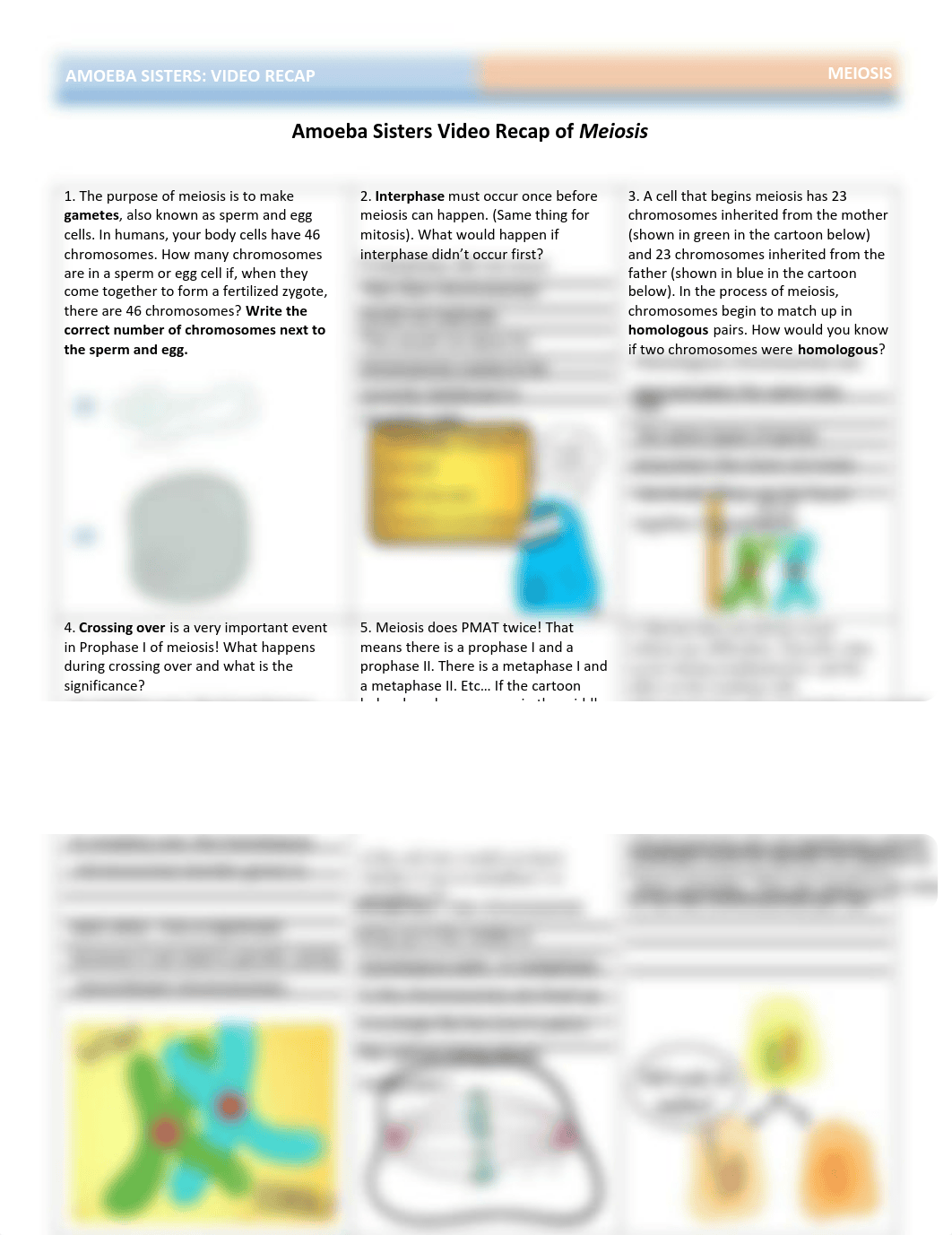 Kami Export - Preston Hylton - 17E - Amoeba Sisters Meiosis Video Worksheet.pdf_dgfe2tcafol_page1