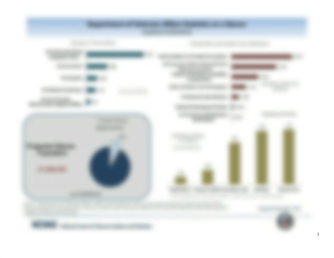 2017FA Veterans Affairs Graphs (Student Version).docx_dgfe4il1sam_page1