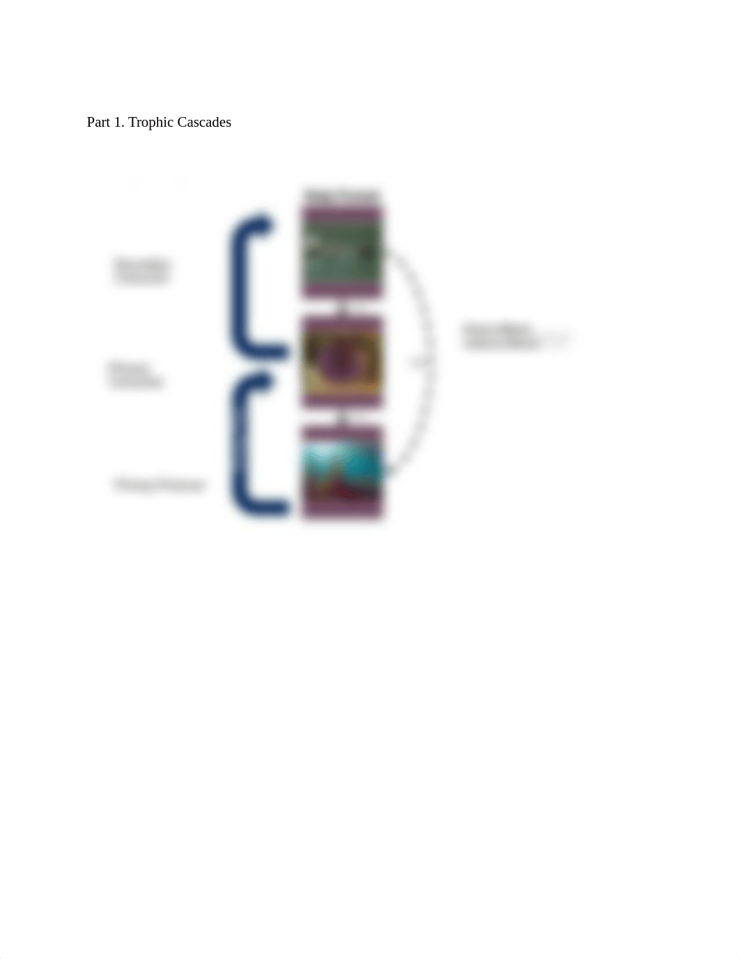 Project 2 Trophic Levels and Keystone Species.pdf_dgfixds5392_page1