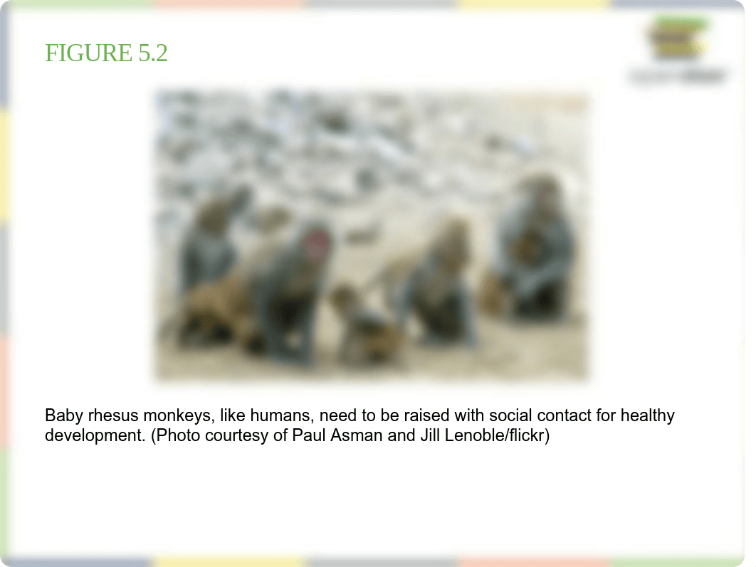 Chapter 5 Socialization(ppt).pdf_dgfte4c6tjy_page3