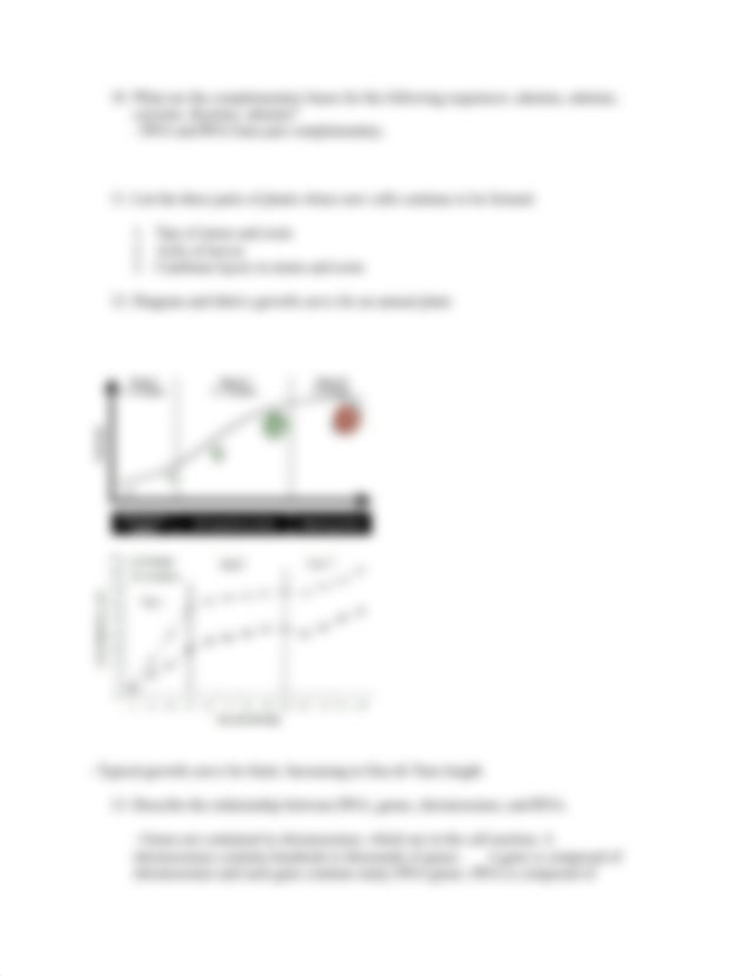 Plant Science Chapter 13 Review .docx_dgfv8klgbpc_page2