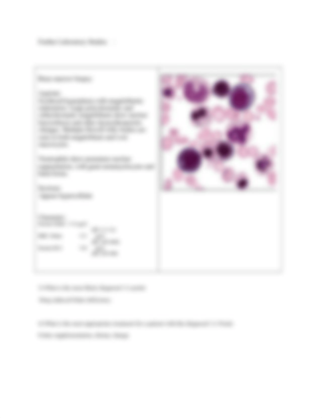 Megaloblastic Anemia Case Study.docx_dgg7dqskx3l_page2