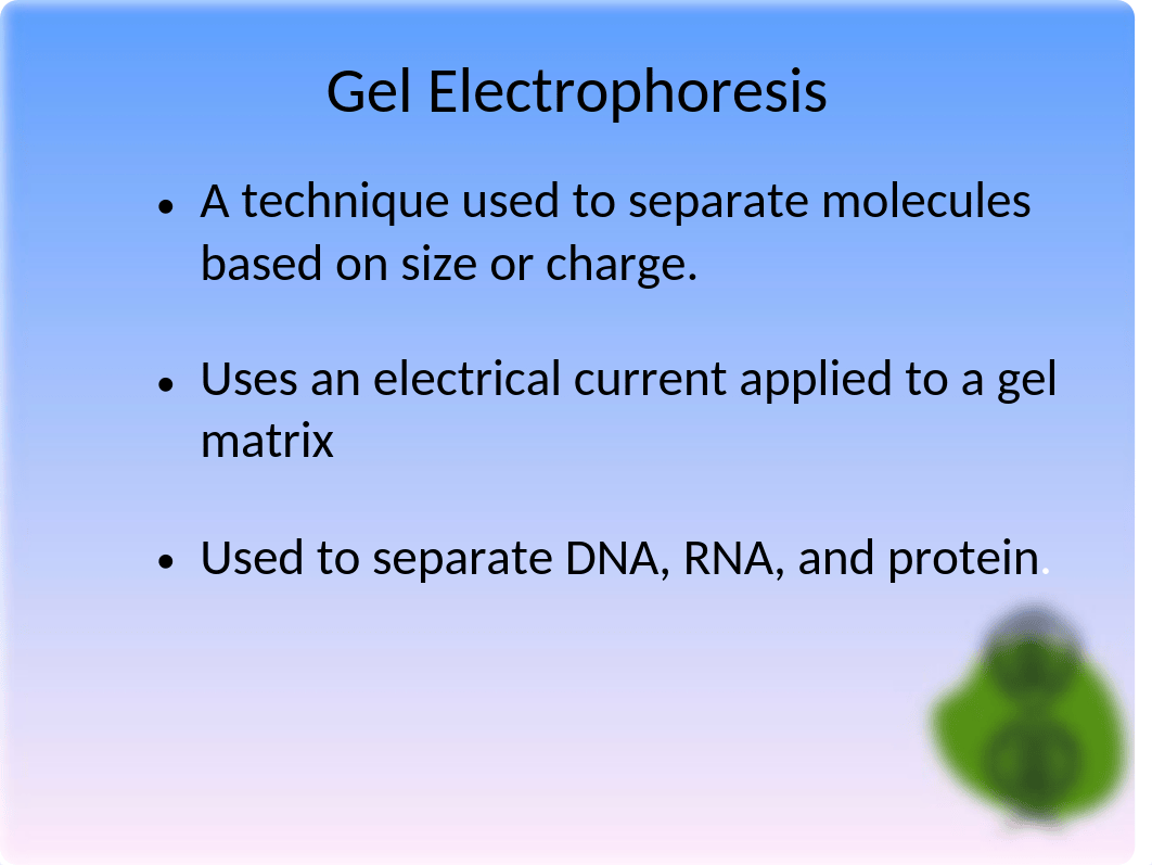 Lab 8 DNA Fingerprinting (Part II)_SP17_dggf32c46ij_page3