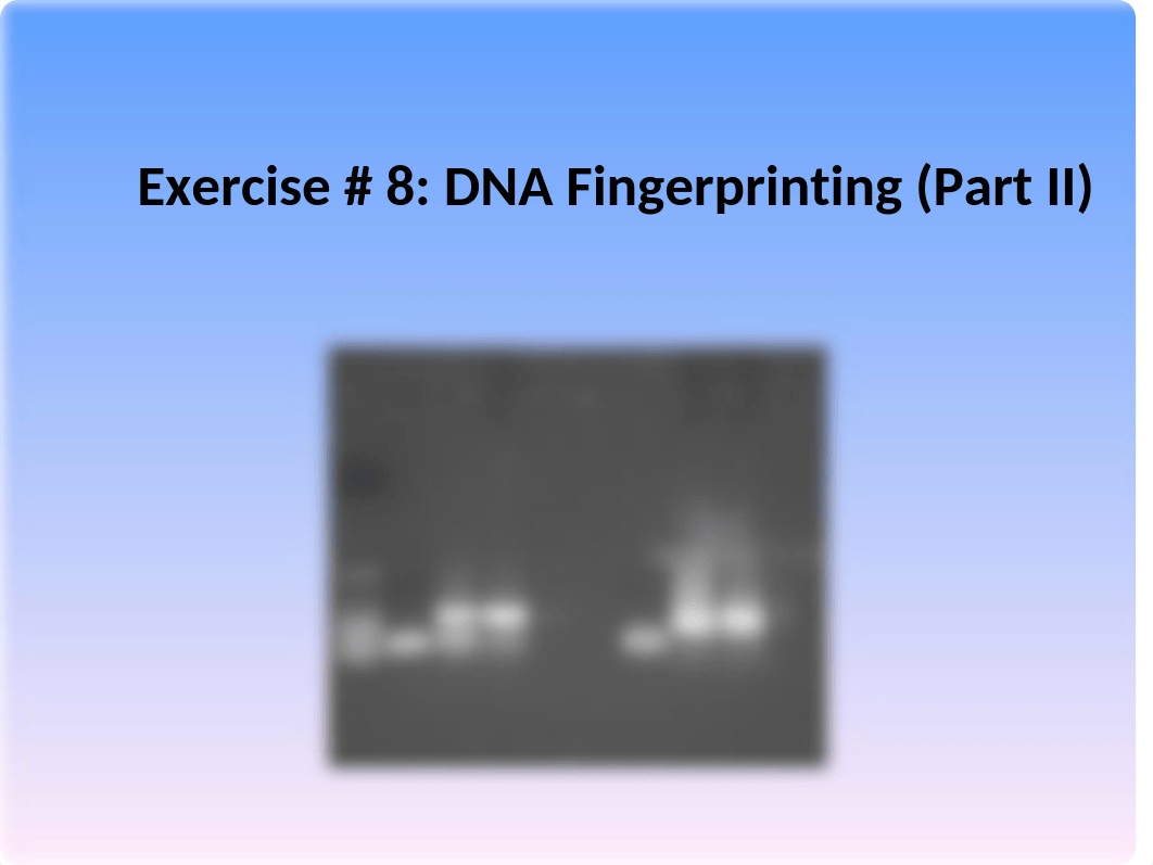 Lab 8 DNA Fingerprinting (Part II)_SP17_dggf32c46ij_page2