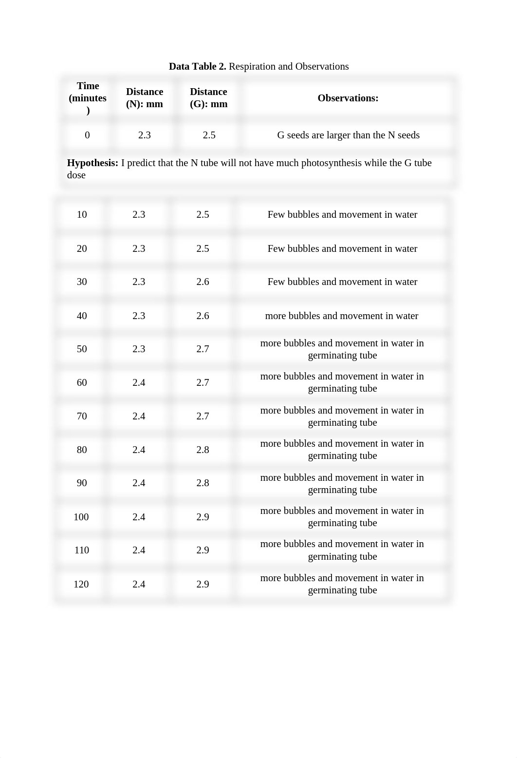 cellular respiration report_dggi40mqbnb_page2